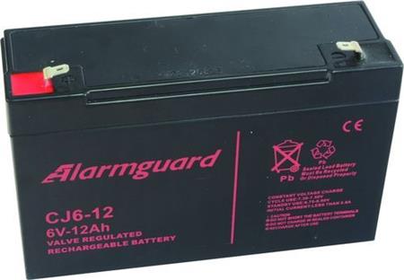 TP0612 6V/12Ah rechrg.battery