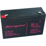 TP0612 6V/12Ah rechrg.battery