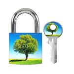 Visací zámek Master Lock z pevného hliníku 3430EURDAST_tree